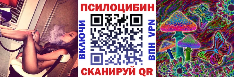 Псилоцибиновые грибы прущие грибы Курчалой